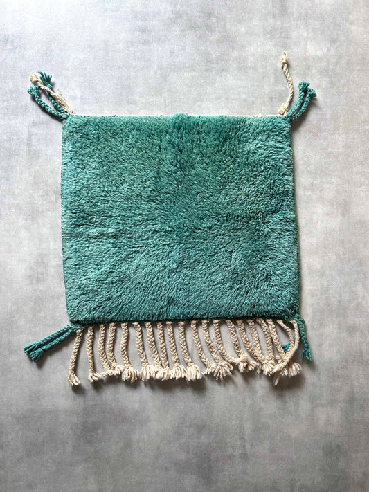 Mrirt rug